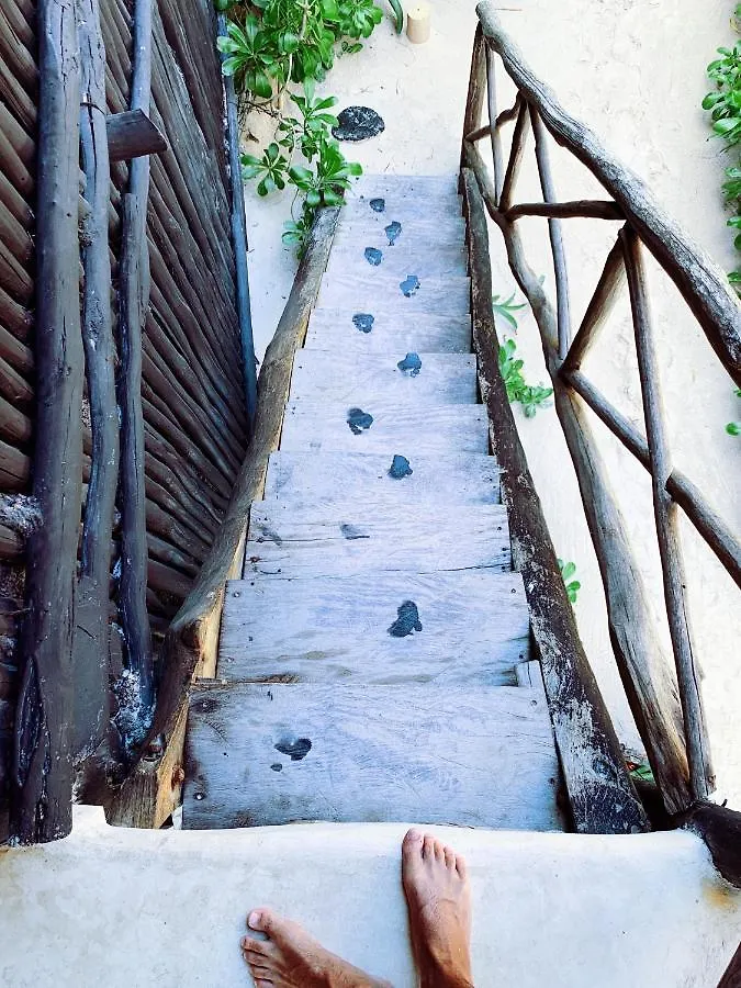 Luv Tulum Hotel Mexico