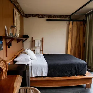 Hotell Bufo Alvarius